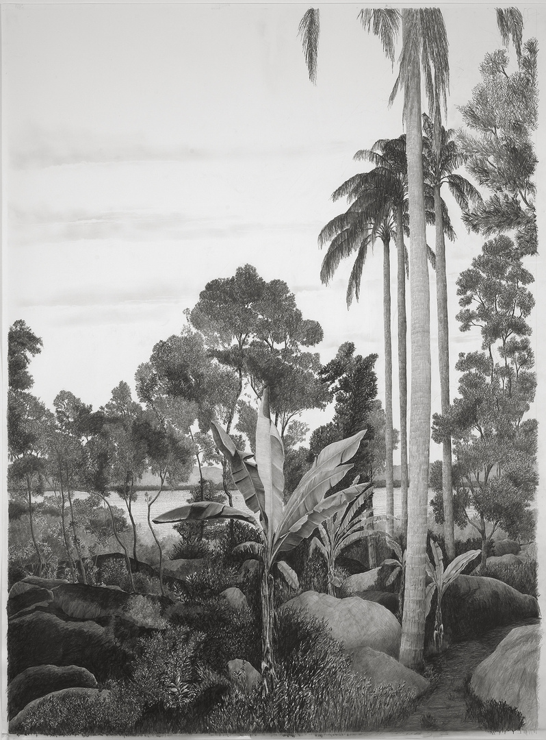 Superaguy, Barbados 2, 2009, grafite sobre papel, 150x110cm.