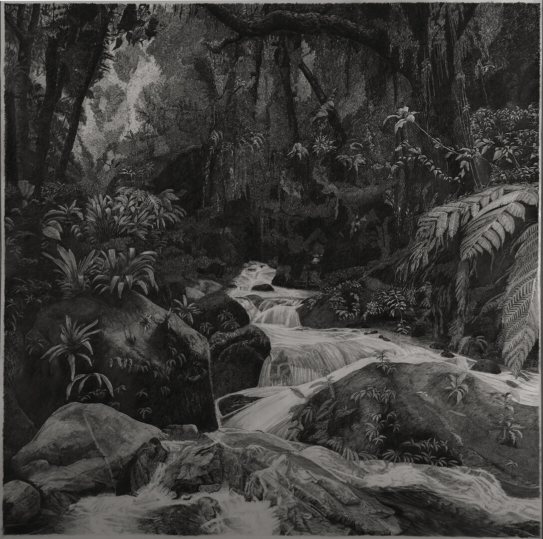 Itororó IV, 2019, grafite sobre papel, 150x110cm.