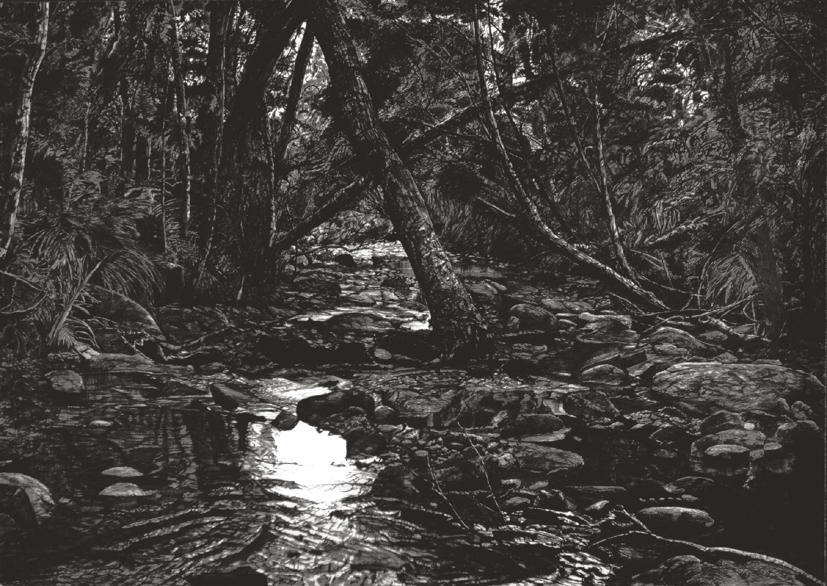 Jureia interior (primeira versão), 1987, grafite sobre papel, 70x100cm.